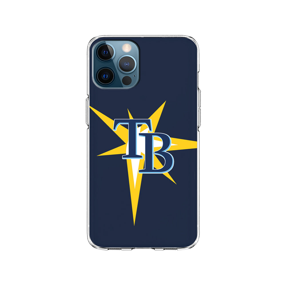 MLB Tampa Bay Rays Team iPhone 15 Pro Case