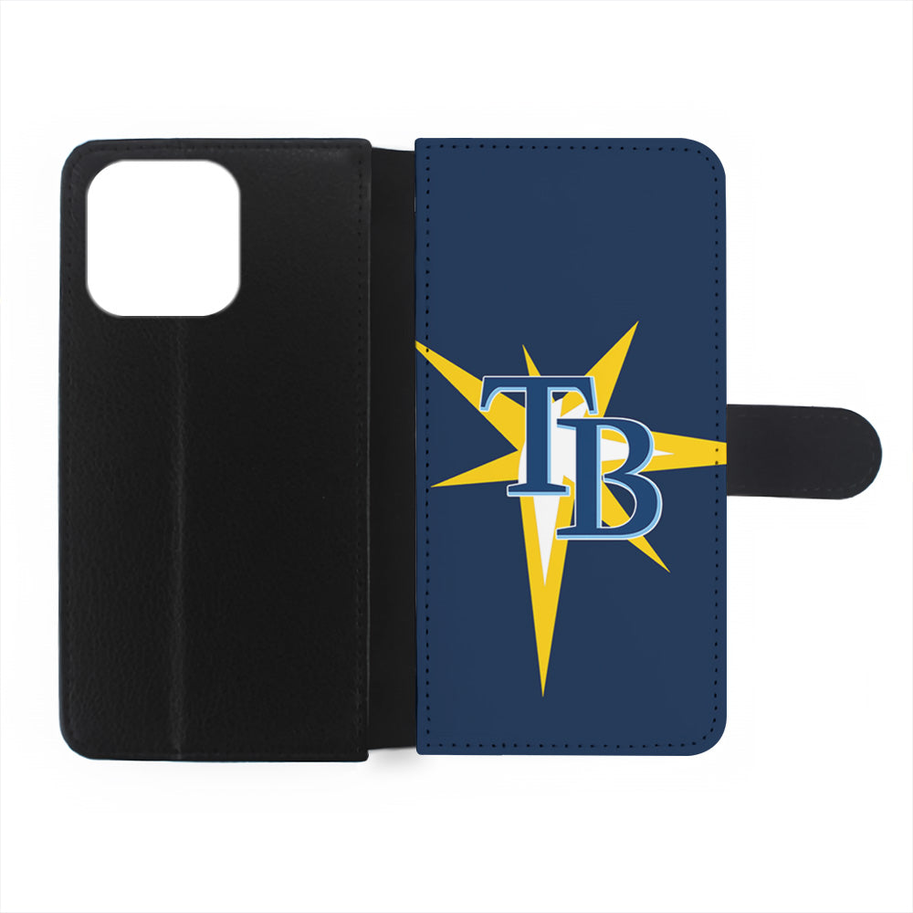 MLB Tampa Bay Rays Team iPhone 15 Plus Case